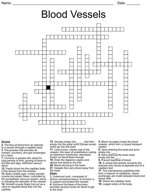 crossword clue blood vessels